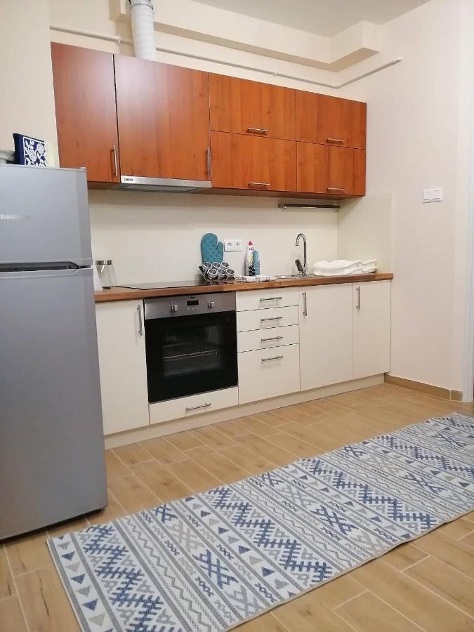 Olga Apartman Seghedin Exterior foto